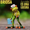 About La vida es una locura Dino Superdee Gemmano Mix Song