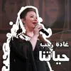 About حياتنا Song