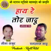 About Hay Re Tor Jadu Chhattisgarhi Geet Song