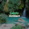 About Ambient Palace Song