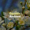 Superabundantly Ambient