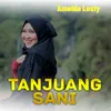 About TANJUANG SANI Song