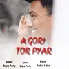 About A Gori Tor Pyar Song