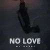 About No Love Song