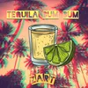 About Tequila Bum Bum Song