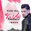 About Le Vrai Amoure Song