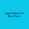 About Tingga Kanangan Luko Song