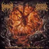 Knee Deep in Stillborn Afterbirth