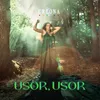 About Usor, Usor Song