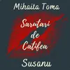 About Sarutari De Catifea Song