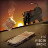 About Nie Wieder Broke Song