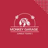 About Monkey Song