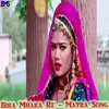 About Bira Mhara Re - Mayra Song Song