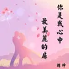 About 你是我心中最美丽的扉 Song