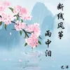 About 断线风筝雨中泪 Song
