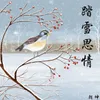 About 踏雪思情 Song