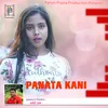 About Panata Kani Song