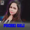 About Puchki Gali Song