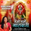 About Namo Namo Narayani Song