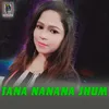About Tana Nanana Jhum Song