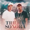 About Trilha Sonora Song