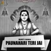 About Paunahari Teri Jai Song