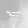 White Noise Reconcilement