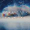 About Forbidden Colours Song