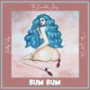 About Bum Bum Song