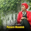 About Pusaro Mandeh Song