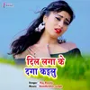 About Dil Laga Ke Daga kailu Song