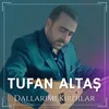 Dallarımı Kırdılar