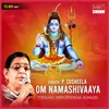 Om Namashivaaya, Pt. 1
