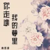 About 你走进我的梦里 Song