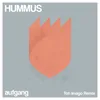 About Hummus Toh Imago Remix Song