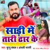 About Sari Me Tari Dhar Ke Song