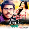 About Dekha Hai Jabse Song