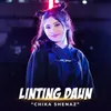About Linting Daun Song