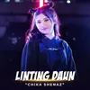 Linting Daun