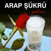 About Gülüm Song