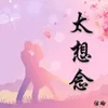 太想念 DJ版