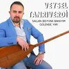 Sallan Boyuna Bakayım / Gülende Yar