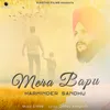 About Mera Bapu Song