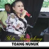 About Toang nunuk Song