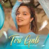 About Teri Gali 1 Min Music Song