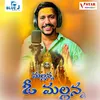 About Mallanna O Mallanna Song