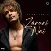 About Zaruri Nai Song