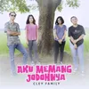 About Aku Memang Jodohnya Song