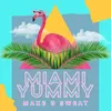 About Miami Yummy Song