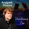 About Уходишь ты Song